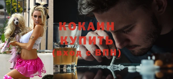 амф Аркадак