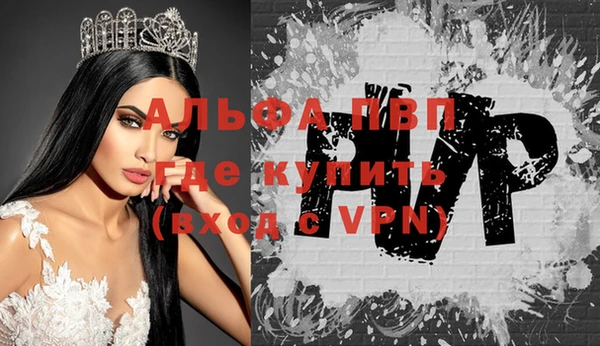 индика Арсеньев