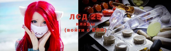 амф Аркадак