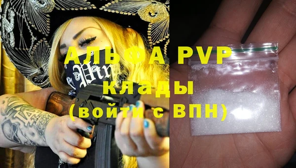индика Арсеньев