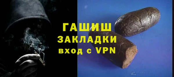 индика Арсеньев