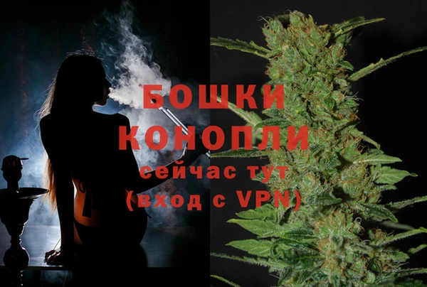 шишки Армянск