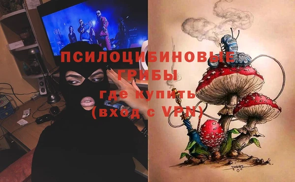 шишки Армянск