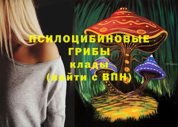 индика Арсеньев