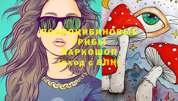 амф Аркадак