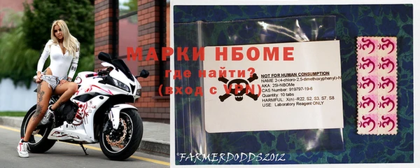 индика Арсеньев