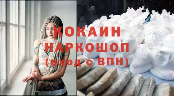 шишки Армянск