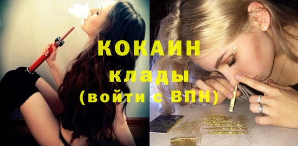 шишки Армянск