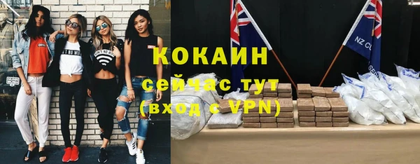 шишки Армянск