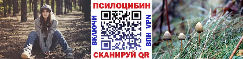 сколько стоит  Тырныауз  Галлюциногенные грибы ЛСД 